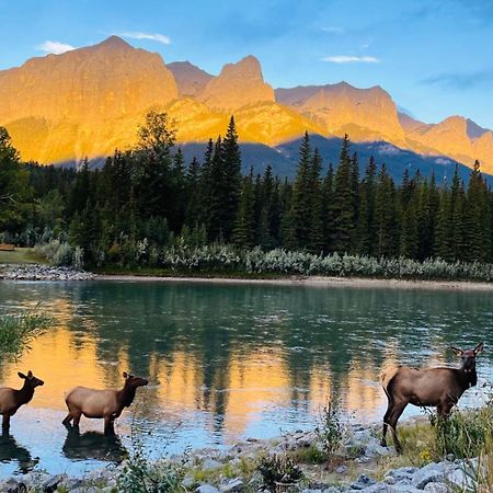 #304 Mountain View 1Br In Canmore Dt ภายนอก รูปภาพ