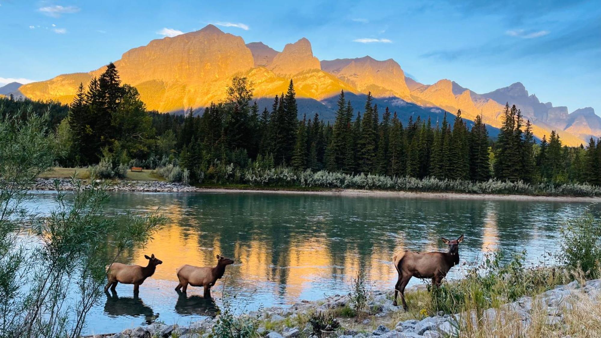 #304 Mountain View 1Br In Canmore Dt ภายนอก รูปภาพ